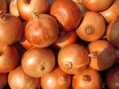 onion sauce recipe