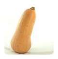 butternut squash