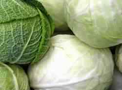 cabbages cabbages