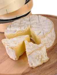 camembert cheese closeup