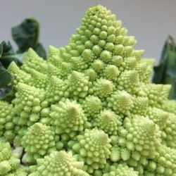 cauliflwoer romanesco