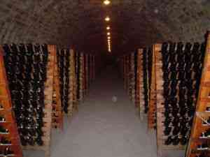 champagne cellar champagne cellar