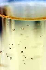 Champagne closeup Champagne Closeup