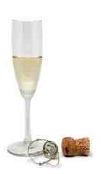 champagne champagne