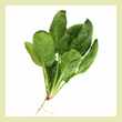 cooking spinach