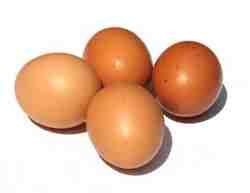 eggs