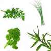 fines herbes