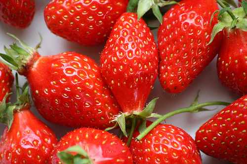 french fruit gariguette