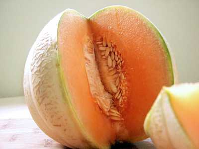 french fruit melon charentais