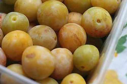 french fruit mirabelles