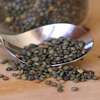 french green lentils