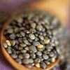 french green lentils