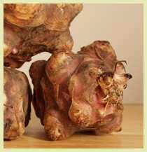 jerusalem artichoke recipe