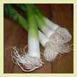 leeks