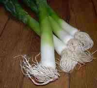 leeks