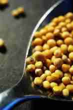 mustard seed mustard seed