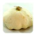 patisson squash