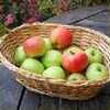 recipe for baked apples
