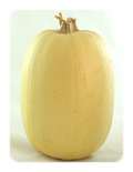 spaghetti squash