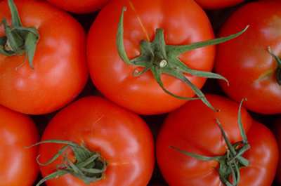 tomato cream sauce recipe