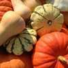 winter squash recipes