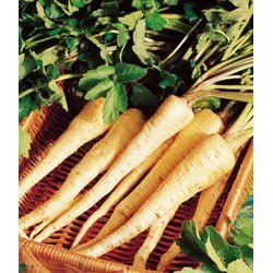 parsnips